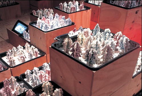 trees made from pastel coloured salt crystals in trays in wooden boxes at different heights, with a small TV nestled in the background